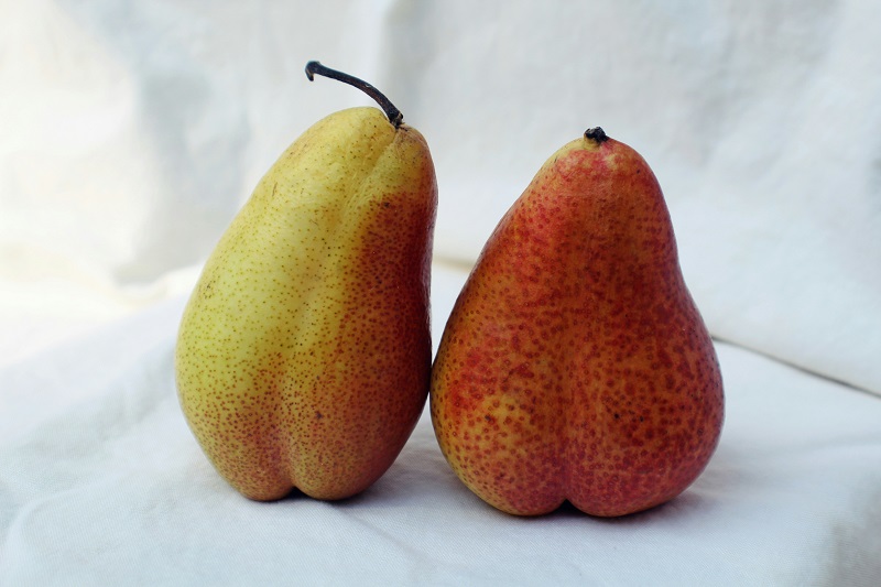 Pears