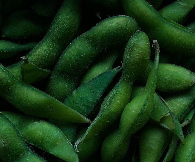 Edamame