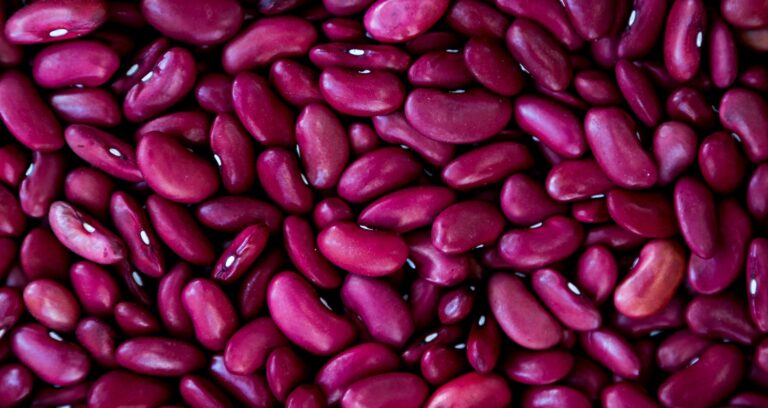 Health Benefits of Kidney Beans : Mohit Tandon Burr Ridge