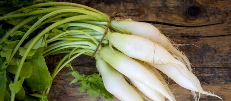 Health benefits of Radish