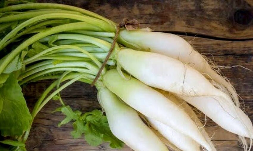 Health benefits of Radish